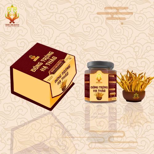 Đông Trùng Hạ Thảo Khô (10gr) - Hình 3